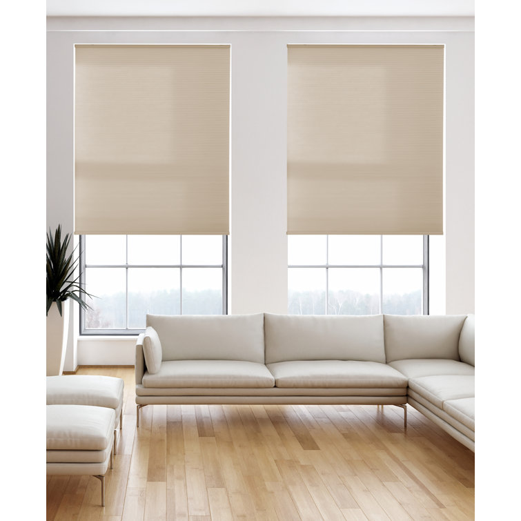 Store cellulaire filtrant la lumière