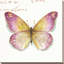 «Rainbow Seeds Butterflies IC» par Lisa Audit, reproduction sur toile-29609542-29421973