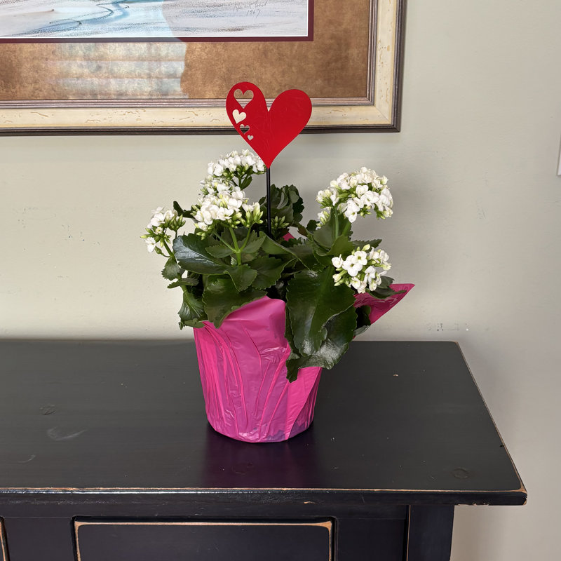 Cœur en fer rouge de 4 po avec découpes sur pot à fleurs ou piquet de jardin de 10 po