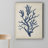 " Coral IV "-31597434