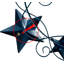 Couronne de porte d'entrée American Star