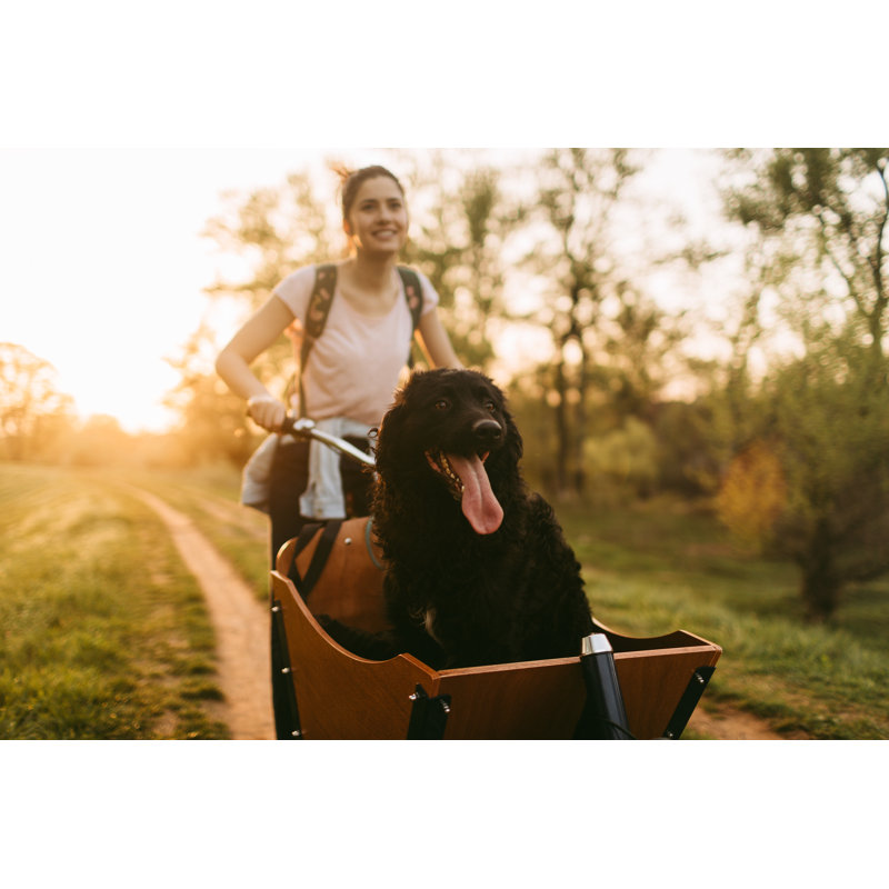 Awesome Ride by Aleksandarnakic, 32" H x 48" W