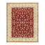 Oriental Area Rug in Peach