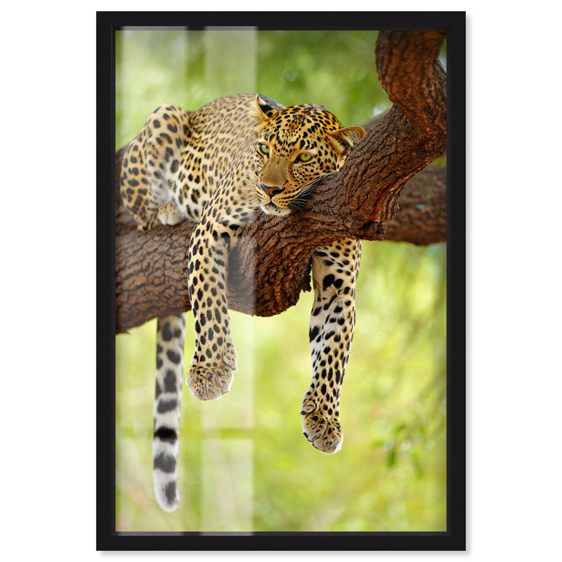 «Languid Leopard Shadowbox», reproduction d'art par Art Remedy, cadre noir, 11 x 16, H 16 po x l 11 po, Structure noire