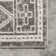 Akimitsu Southwestern Gray Area Rug