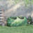 Portable Mini Greenhouse, Small Green House With PE Cover, Roll-Up Zippered Windows