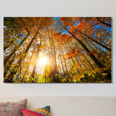 " Autumn Aura "