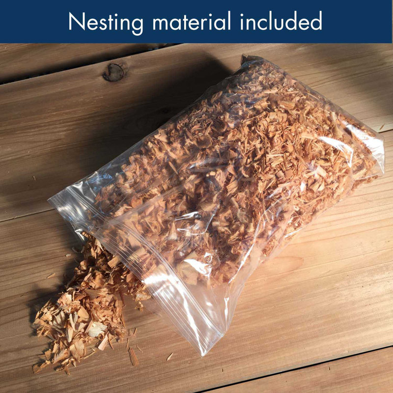 20-Inch Tan Cedar Owl and Kestrel Nesting Box