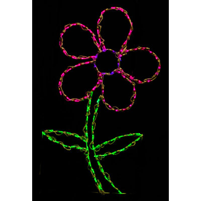 Daisy led lumière