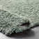 Abbiney Performance Shag Green Rug