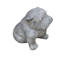 Bulldog