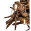 Driftwood 8 - Light Chandelier