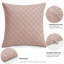 Aspire Homeware Embossed Square Velvet Cushion Covers-961055148-961055144