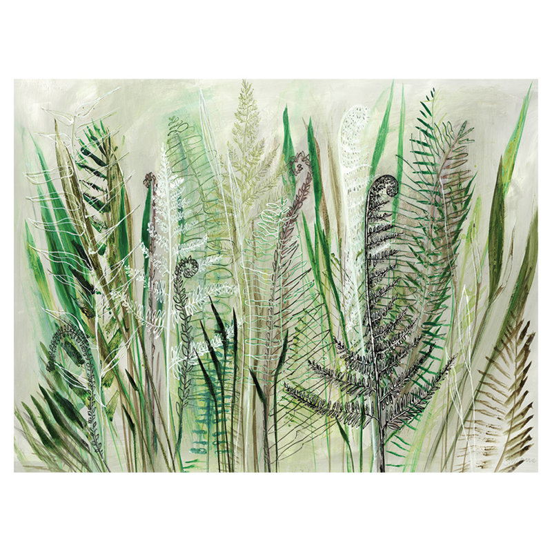 SHYAMA RUFFELL (FERNS II) 60X80 CANVAS - Wrapped Canvas Canvas