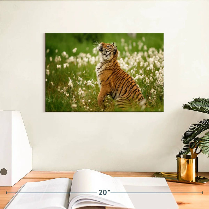 Brampt Tiger Cub, 8" H x 12" W