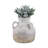 Decorative Pottery Terracotta Vase With Rustic Textured Design And Double Handles, Stylish Contemporary Accent For Modern Spaces