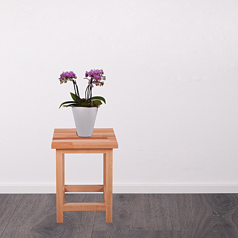 Weekley Solid Wood End Table