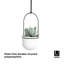 Hanging Planter with 5 pots-70896952