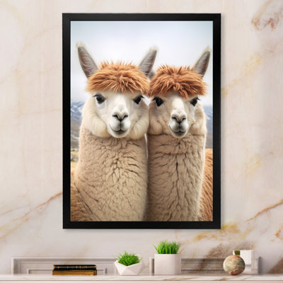 " Alcapas Curious Companions Two "