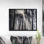 «Sunbeam Through Black White Forest», photographie-35125683-35125693