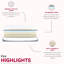 Matelas en mousse viscoélastique gélifiée de 13 pouces pour lit très grand, 1 réduction par transfert de mouvement, et plateau supérieur ultra serré avec mousse réactive, sommeil frais, livraison compressée