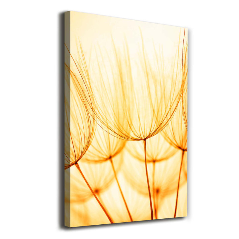 Dandelion Seeds - Wrapped Canvas Print