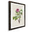 «Pretty Botanicals V», cadre photo-2143446279-2143446297