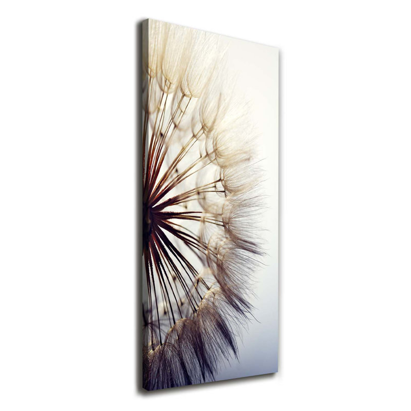 Dandelion - Wrapped Canvas Print