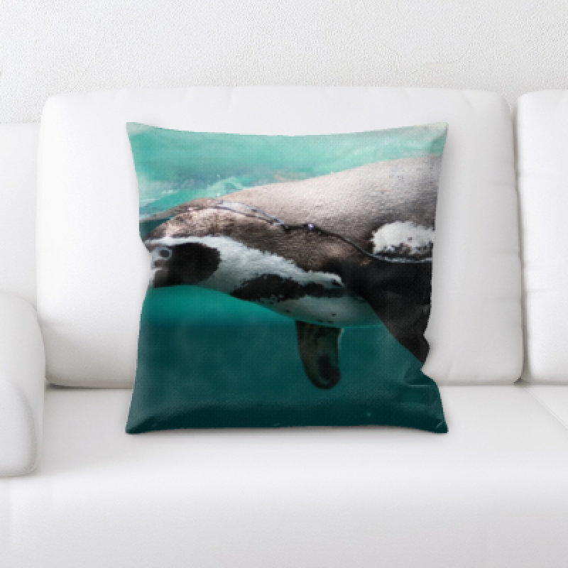 Coussin oiseau