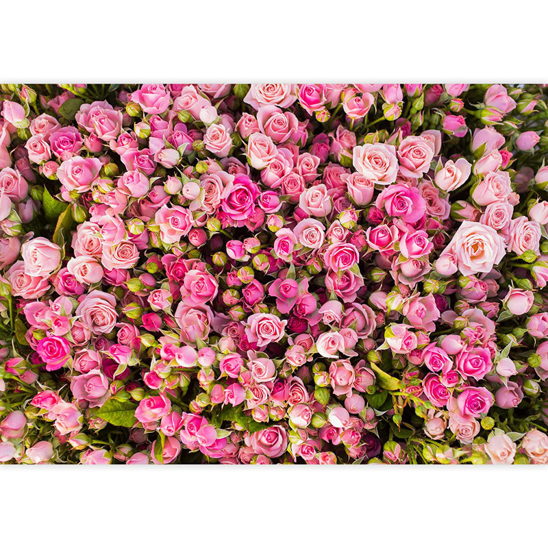 Floral Peel & Stick Floral Border, 66" L x 96" W