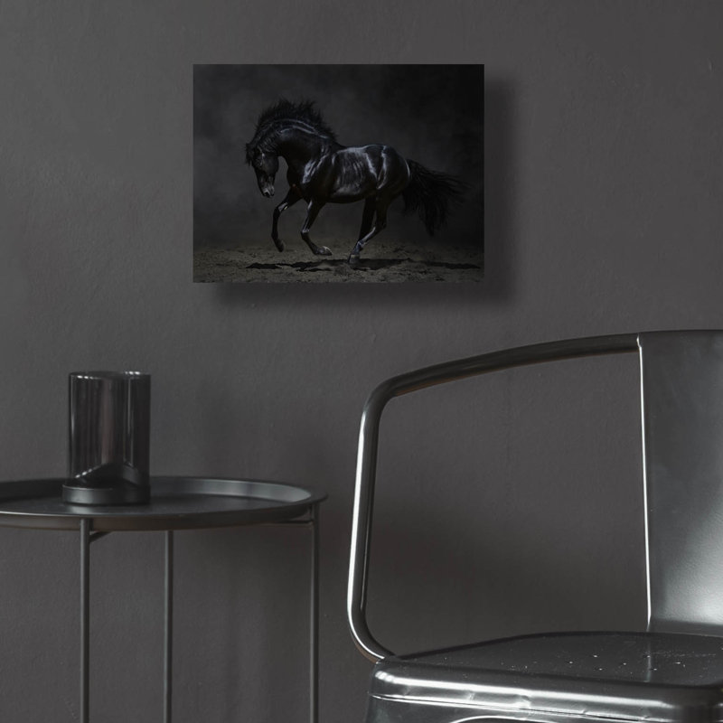 «Onyx» par PhotoINC Studio, H 12 po x l 16 po