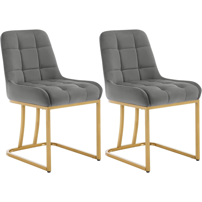 Aunna 49cm H Velvet Upholstered Metal Upholstered Back Cantilever Chair, 4, Grey