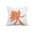 Orange est en rupture de stock