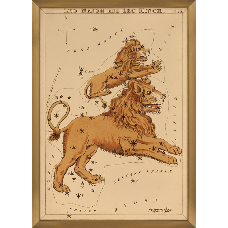 Leo Print by Grand Archives