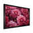 Black Single Picture Framed