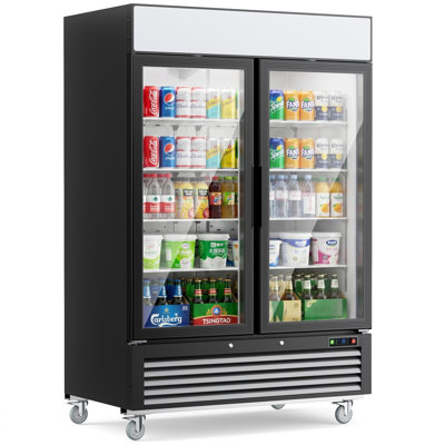 Réfrigérateur commercial à boissons de 49 pi³ avec 2 portes en verre Coolake
