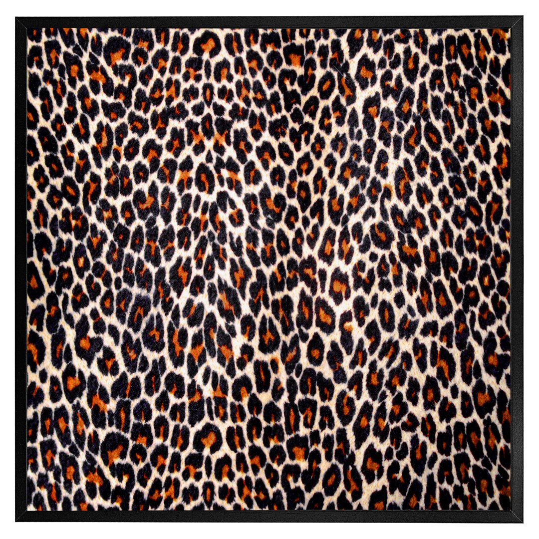 Menoken Print Of Leopard Skin - Single Picture Frame Art Prints