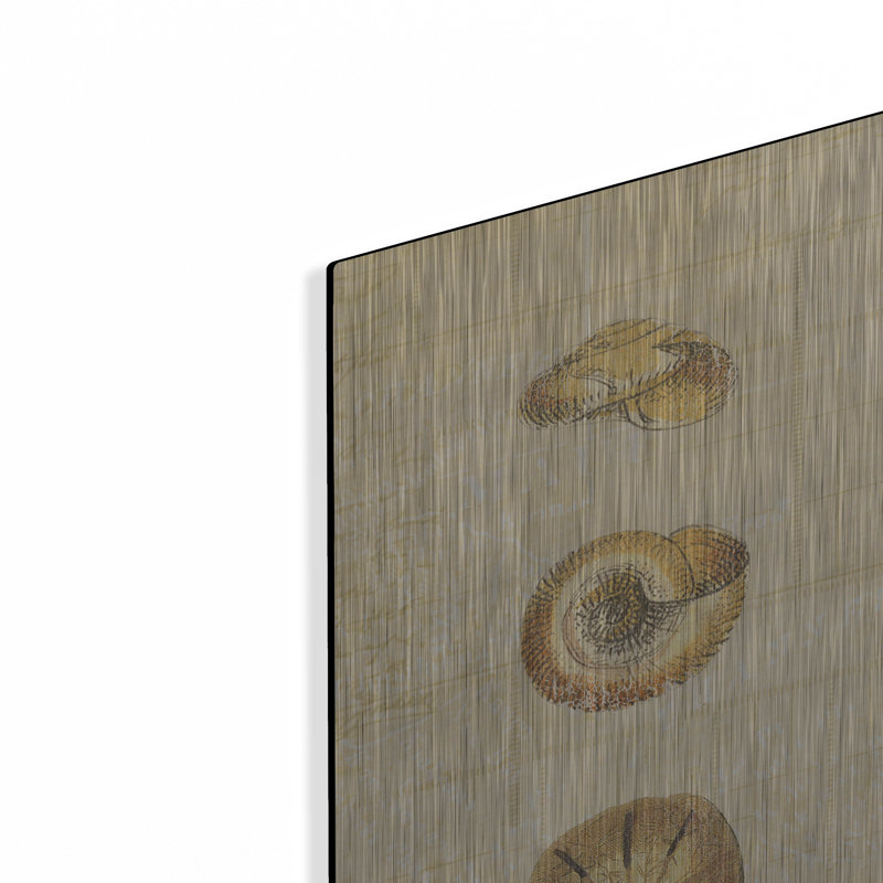 Art mural luxueux «Coastal Shells 2» par Katie pertiet, H 36 po x l 12 po