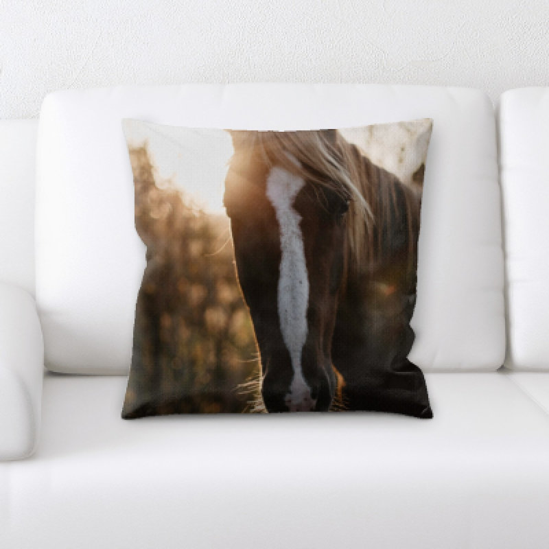 Coussin cheval