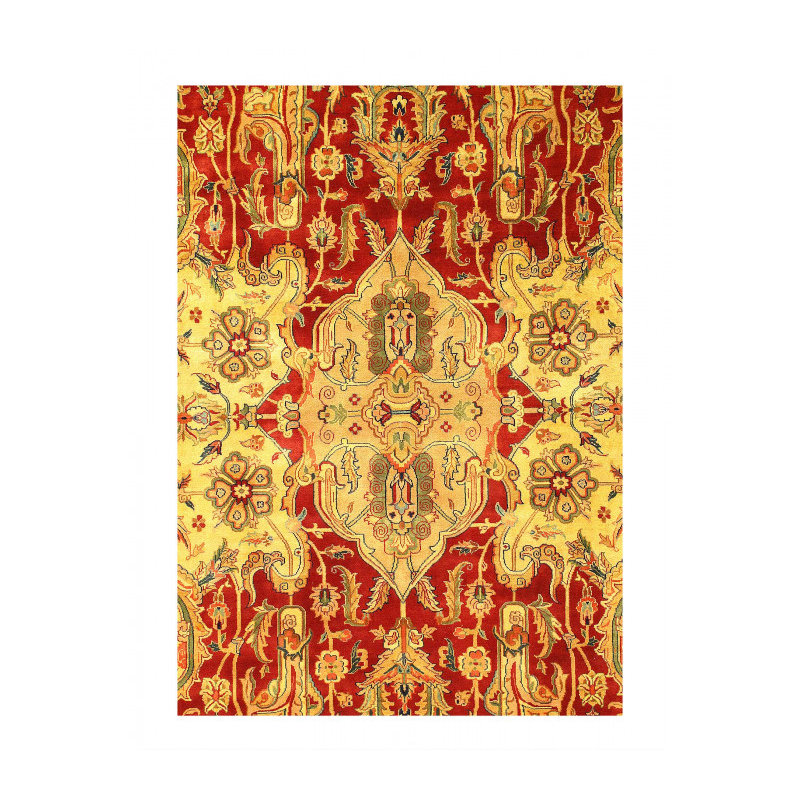 Fine hand Knotted Agra 8' X 11'8''