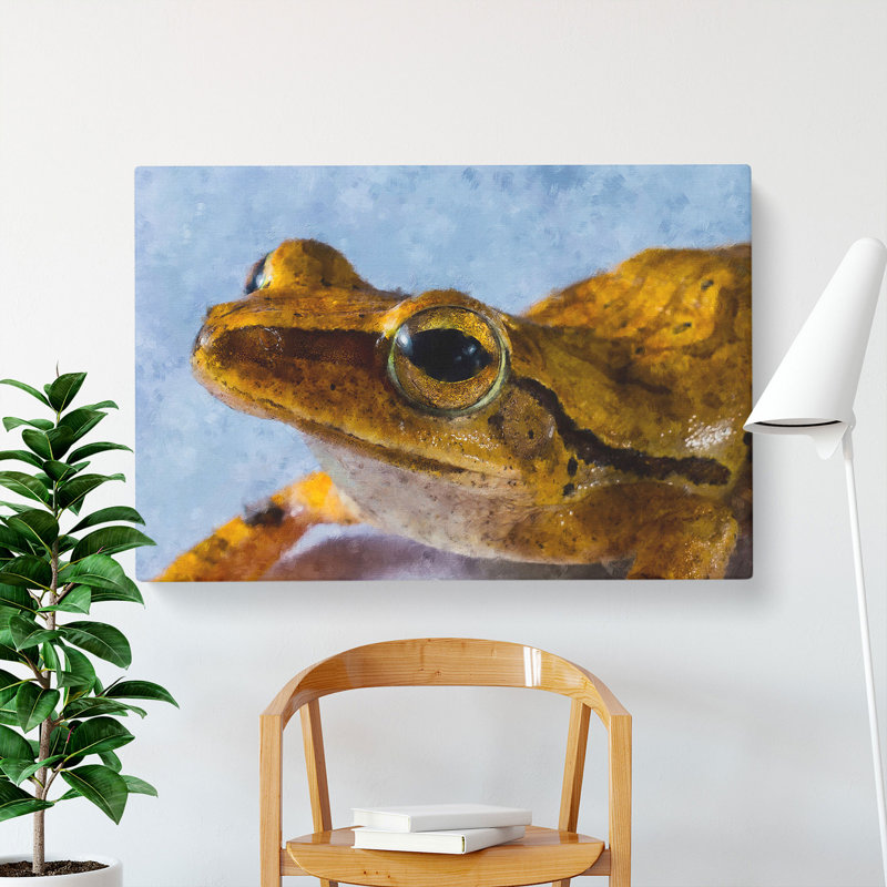 Frog Vol.3 - Wrapped Canvas, 40cm H x 60cm W x 3cm D