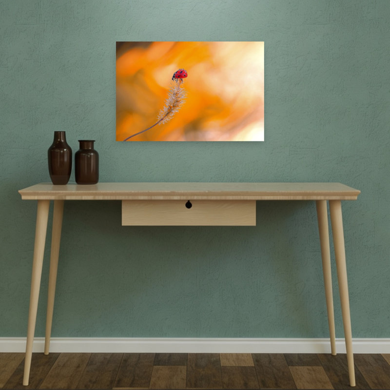 Ladybug In Orange Peaceful Serene Vibrant Ladybug Autumn Nature Wall Art Print by Thierry Dufour - Print