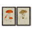 Toile encadrée de qualité supérieure Mushroom Variétés-816178479-816178449