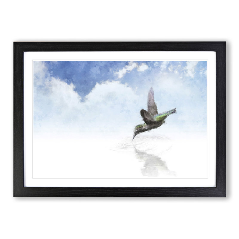 Hummingbird Vol.1 - Picture Frame Graphic Art, Black Framed, 27cm H x 36cm W x 2cm D