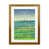 Brown Framed is unavailable