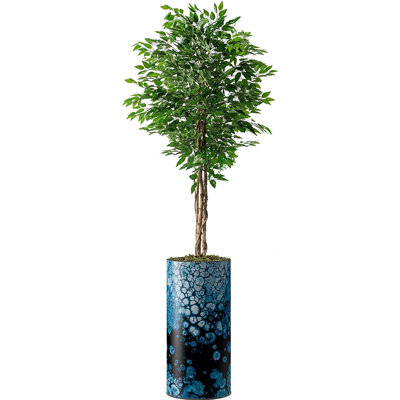 Faux Ficus Plant in Planter