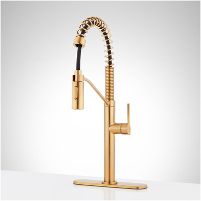 Eiler Kitchen Faucet with Pull Down Spring Spout with Deck Plate - Brushed Gold