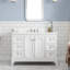 Queen 48" Single Bathroom Vanity Set with Mirror-1549230463-1549230461