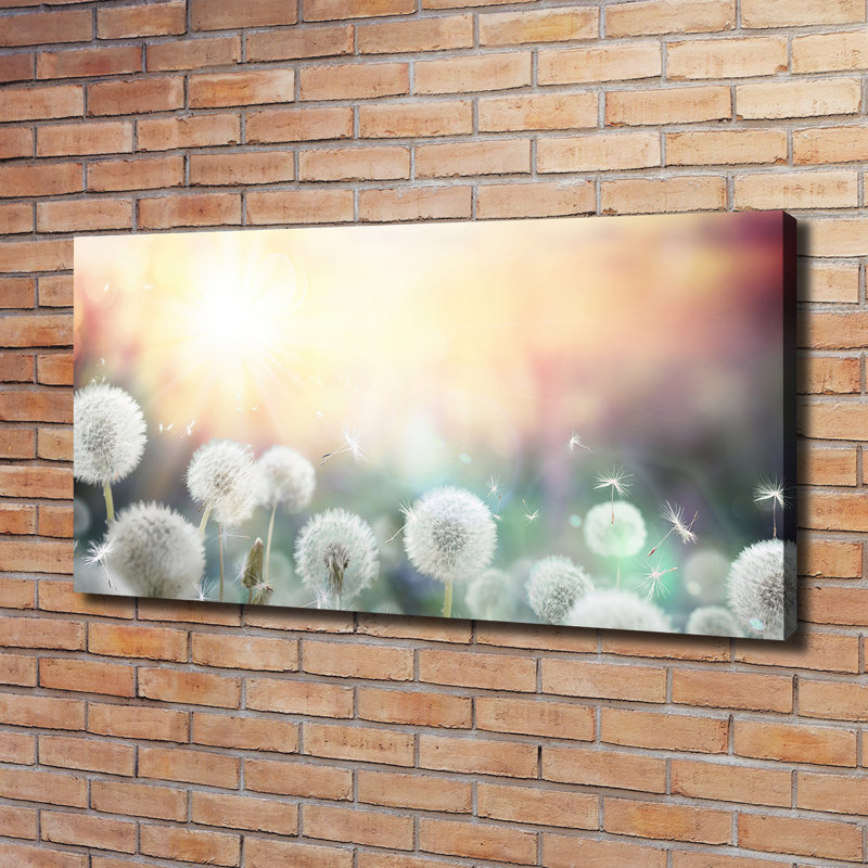 A Field Of Dmuchawy - Wrapped Canvas Print