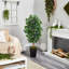 Faux Ficus Tree in Clay Planter-572805252-572805253